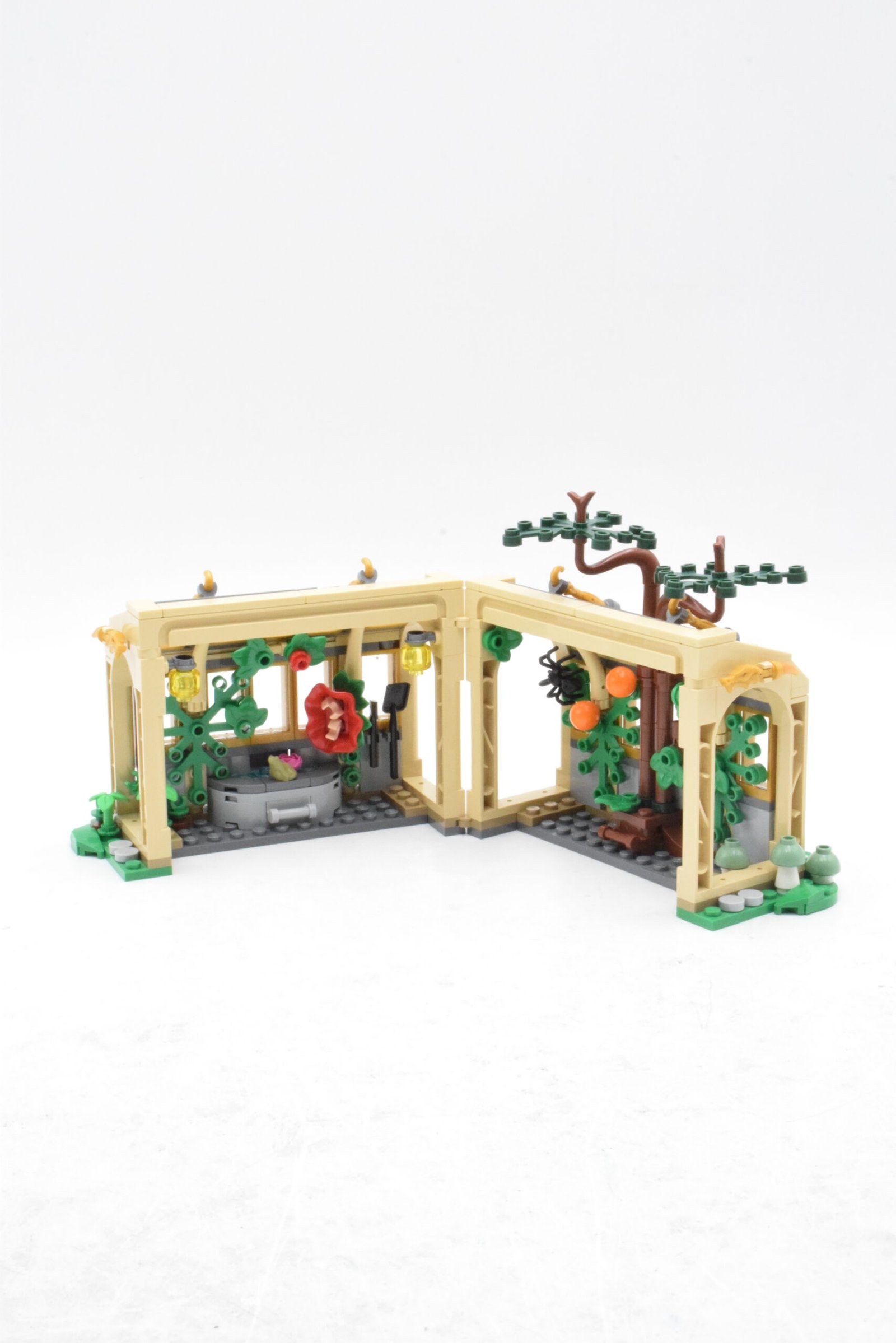 76445 - Le cours de botanique – Image 5