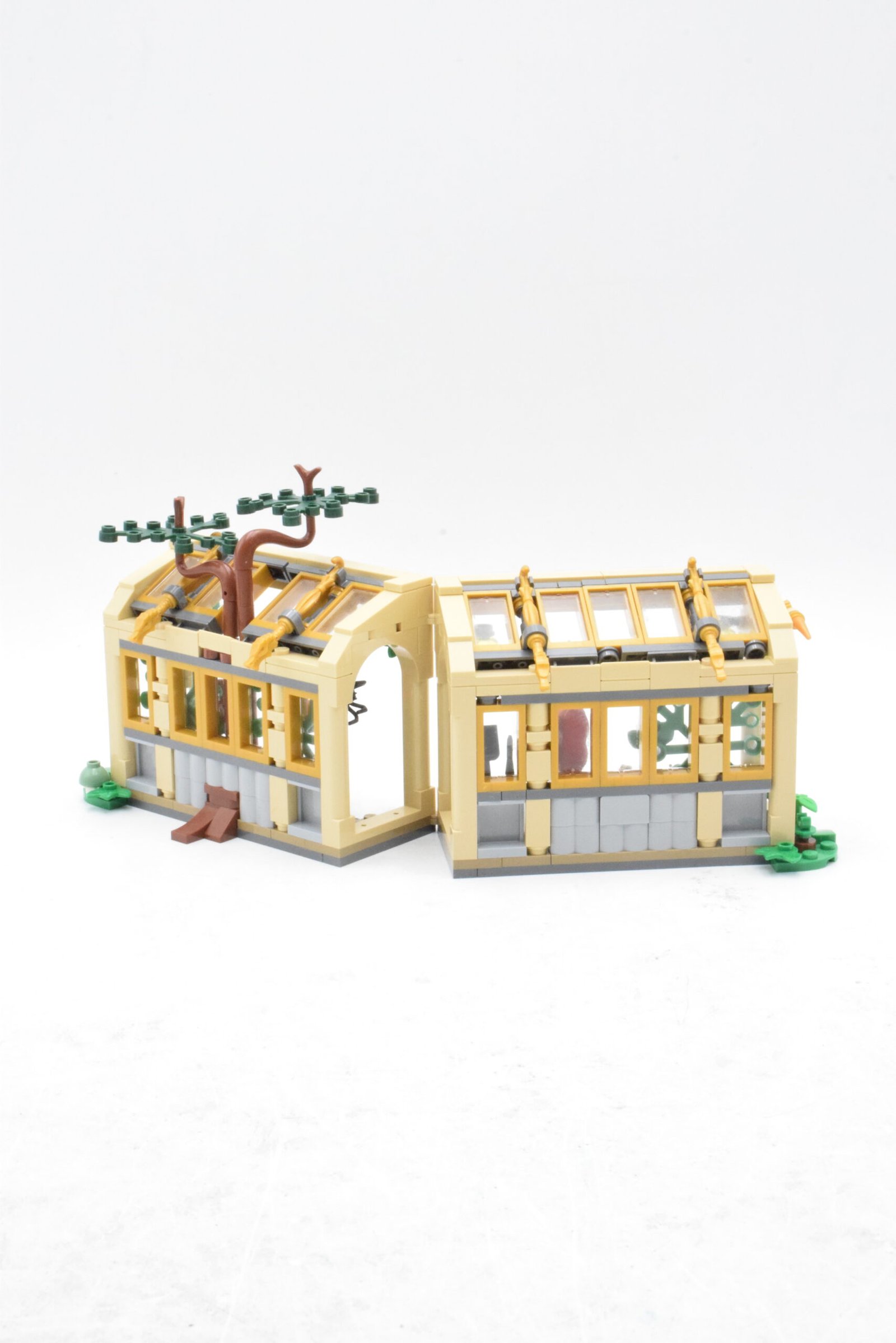 76445 - Le cours de botanique – Image 6