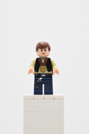 sw0356 - Han Solo - Celebration