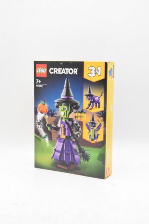 40562 - La sorcière mystique